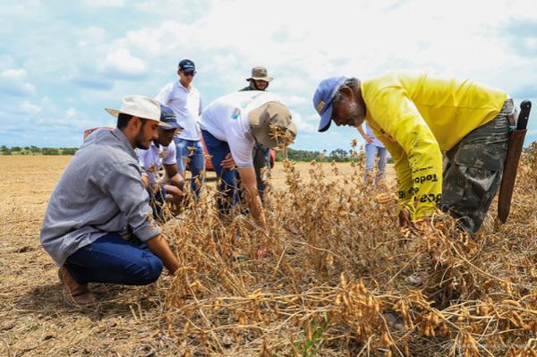 CLDF homenageia Engenheiros Agrônomos em sessão solene nesta terça (29)