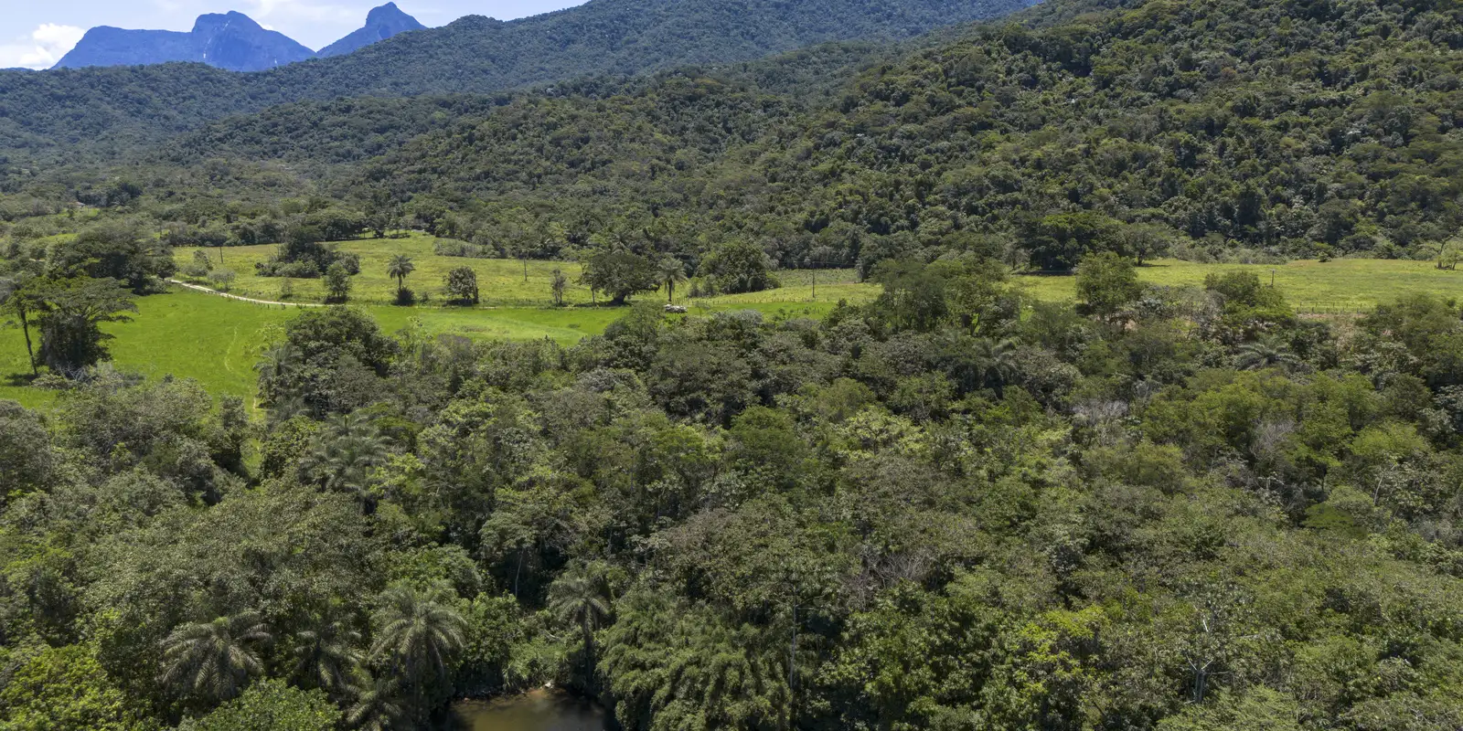 Brasil diminui área de vegetação nativa fragmentada em 43%