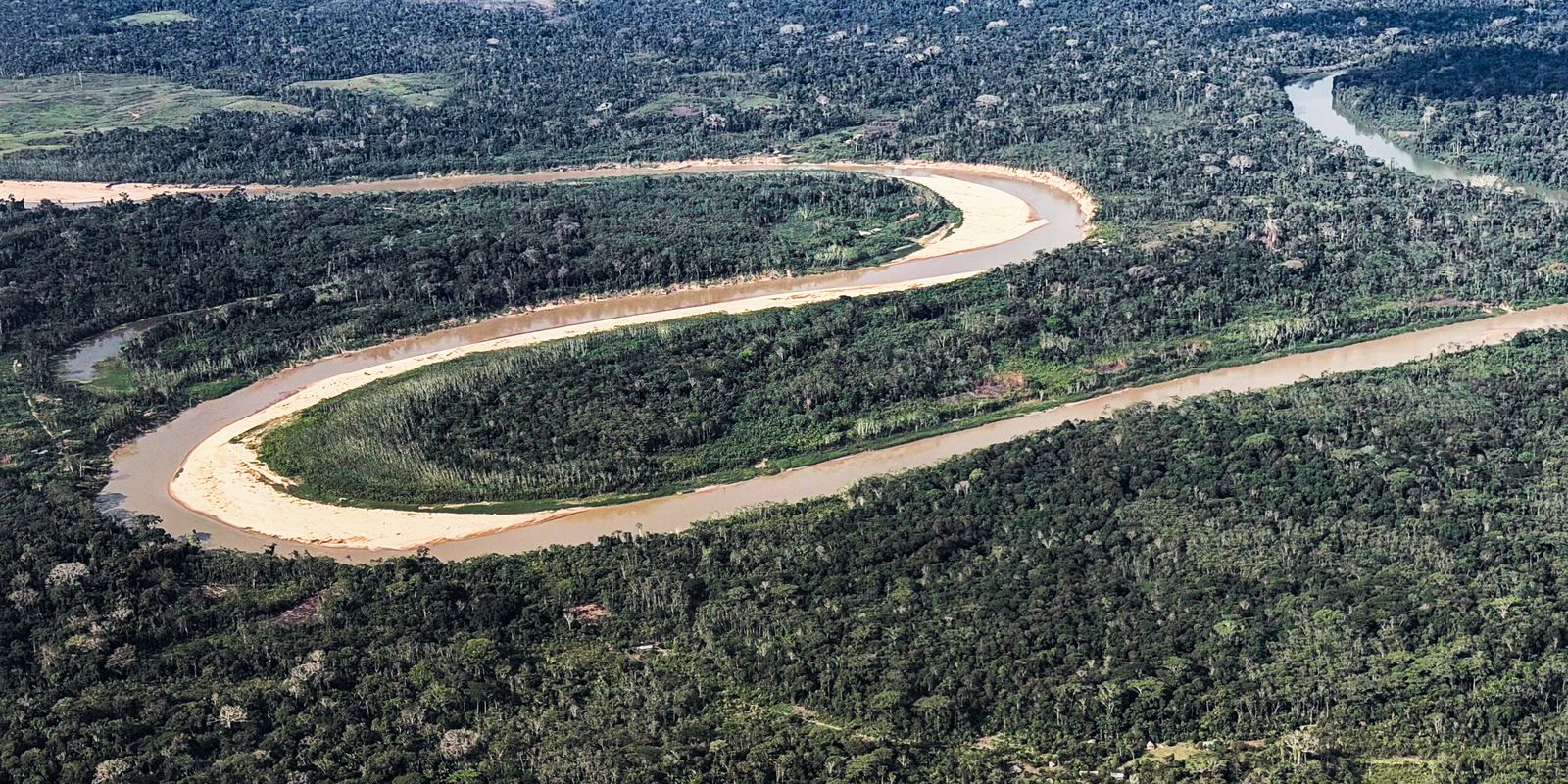 Países Baixos anunciam US0 mi em fundo florestal criado pelo Brasil